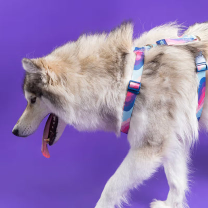 TOH Conjunto de Peitoral em H e Trela Alpaca - Set de arnés y correa para perro