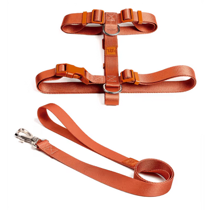 TOH Conjunto de Peitoral em H e Trela Coral - Conjunto de arnés y correa para perro