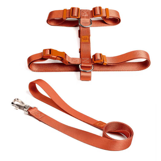 TOH Conjunto de Peitoral em H e Trela Coral - Conjunto de arnés y correa para perro