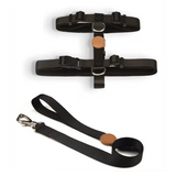 Toh - Conjunto de peitoral e trela para cão