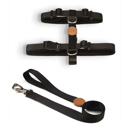 Toh - Conjunto de peitoral e trela para cão