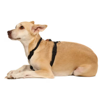 Toh - Conjunto de peitoral e trela para cão