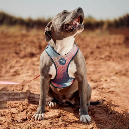 TOH Conjunto de Peitoral Mesh em H e Trela Alpaca - Conjunto de arnês e trela para cão