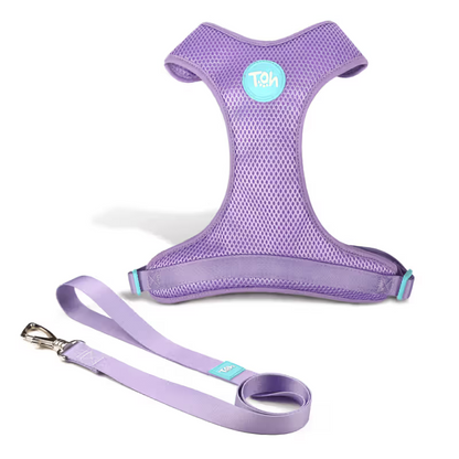 TOH Conjunto de Peitoral Mesh em H e Trela Lilás - Harness and lead set for dogs