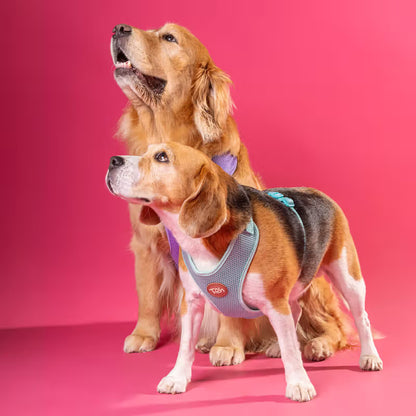 TOH Maresia - Conjunto de arnés y correa para perro