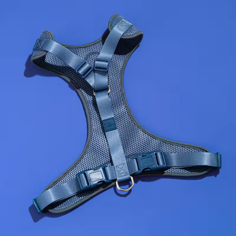 TOH Conjunto de Peitoral Mesh em H e Trela Marine - Conjunto de peitoral e trela para cão