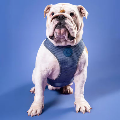 TOH Conjunto de Peitoral Mesh em H e Trela Marine - Conjunto de peitoral e trela para cão