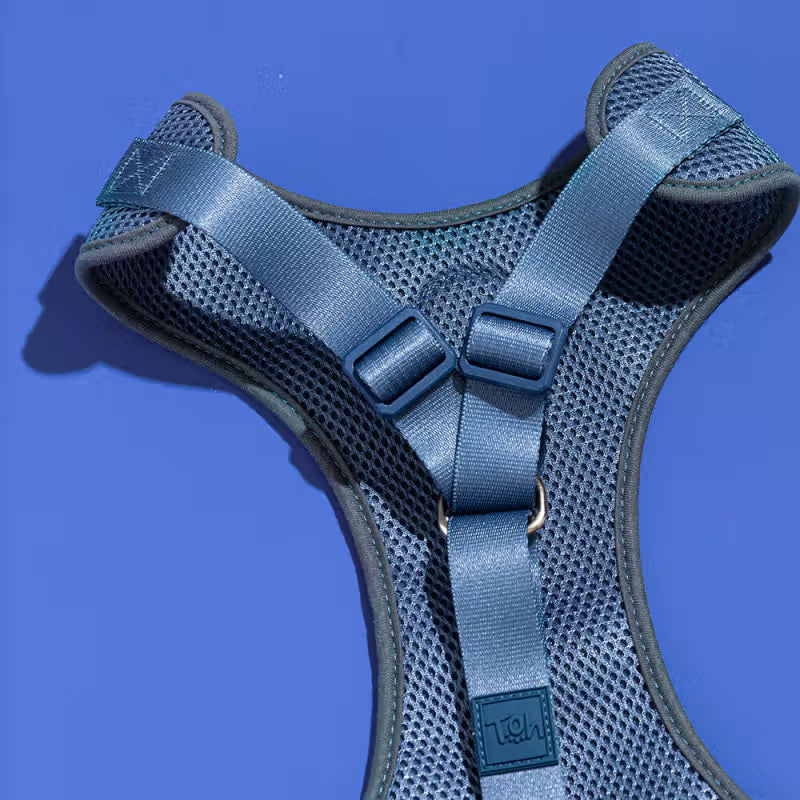 TOH Conjunto de Peitoral Mesh em H e Trela Marine - Conjunto de peitoral e trela para cão