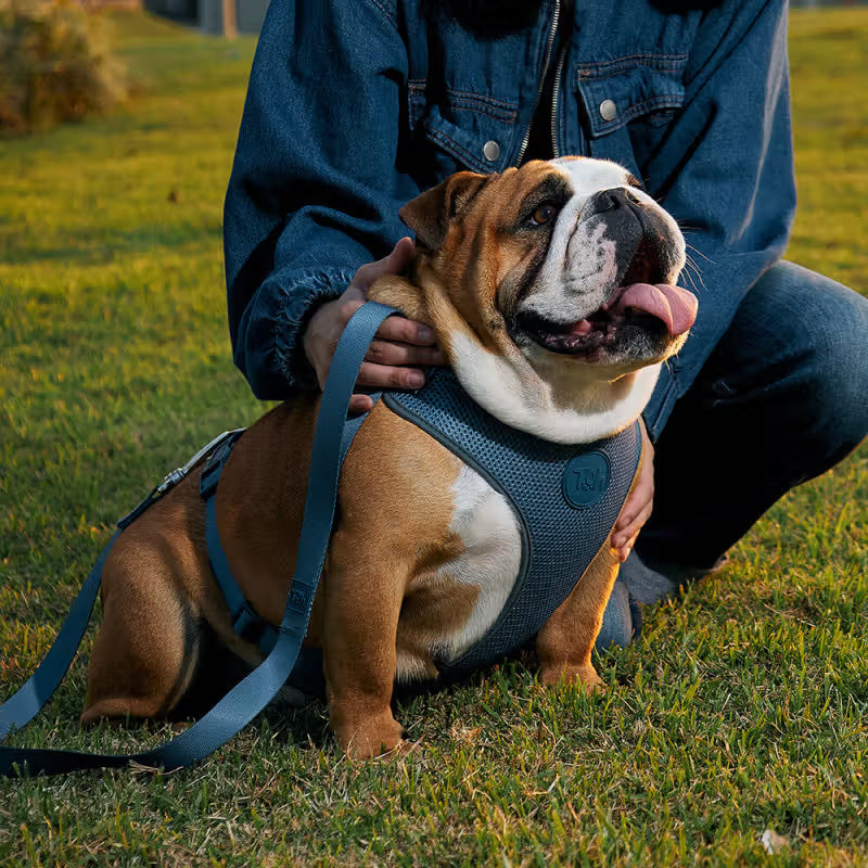 TOH Conjunto de Peitoral Mesh em H e Trela Marine - Conjunto de peitoral e trela para cão