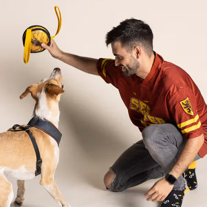 Disney & Warner Bros Harry Potter - Pelota con asas para perros