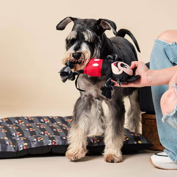 Disney & Warner Bros Mickey Mouse - Juguete para perro