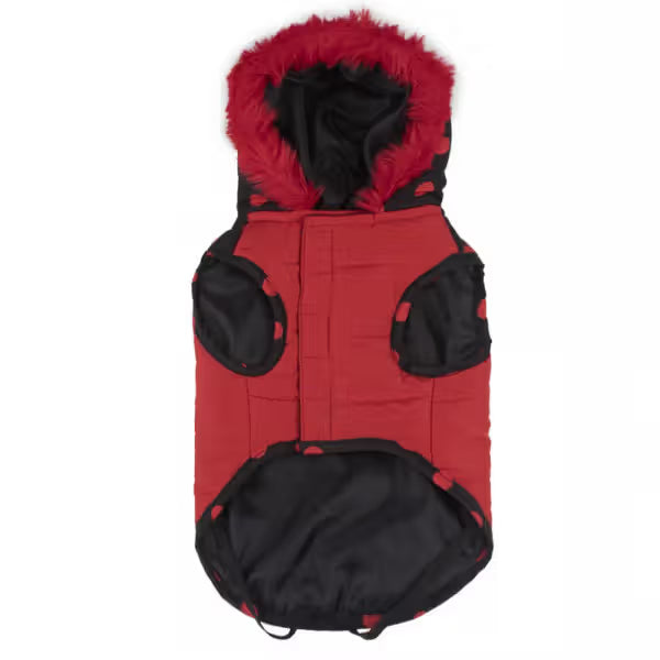 Disney & Warner Bros Minnie Mouse Dog Coat - Dry dog food
