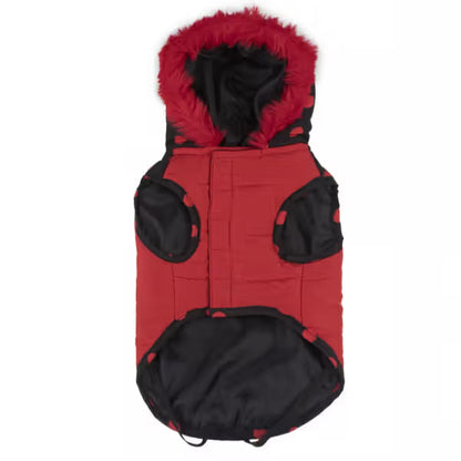 Disney & Warner Bros Minnie Mouse Dog Coat - Dry dog food