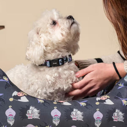 Disney & Warner Bros Coleira vilãs da Disney - Collar para perro