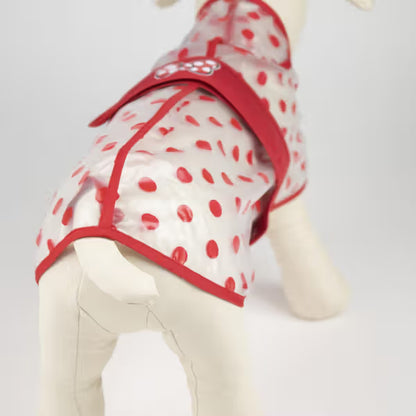 Disney & Warner Bros Minnie Mouse Impermeable para Perro - Pienso seco para perro