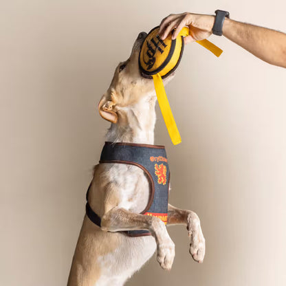 Disney & Warner Bros Peitoral Reversível Harry Potter - Reversible dog harness