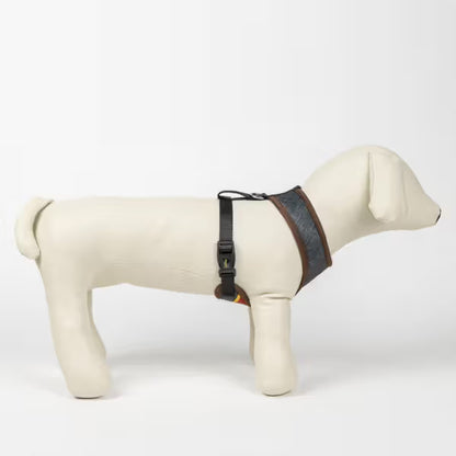 Disney & Warner Bros Peitoral Reversível Harry Potter - Reversible dog harness