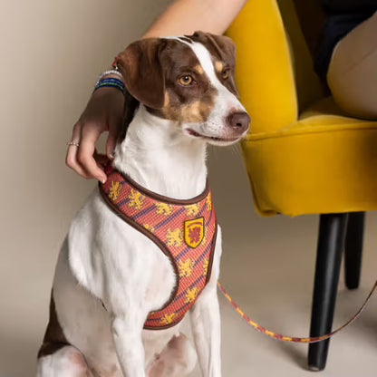 Disney & Warner Bros Peitoral Reversível Harry Potter - Reversible dog harness