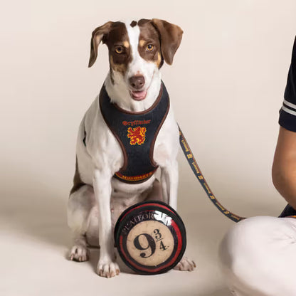 Disney & Warner Bros Peitoral Reversível Harry Potter - Reversible dog harness
