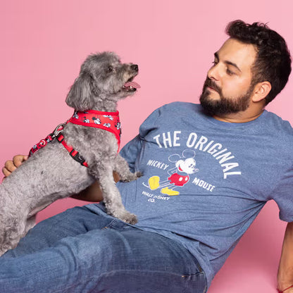 Disney & Warner Bros Minnie Mouse - Peitoral reversível para cão