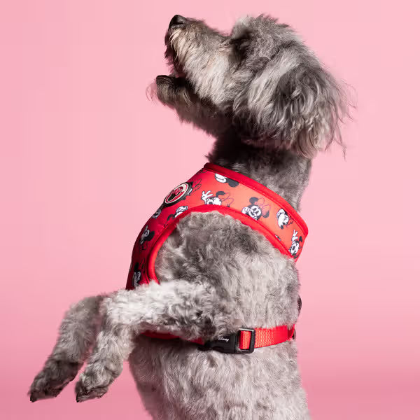 Disney & Warner Bros Minnie Mouse - Peitoral reversível para cão