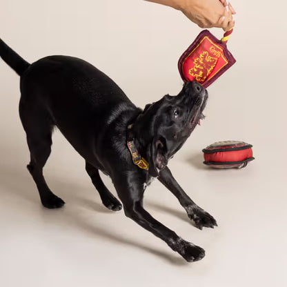 Disney & Warner Bros Harry Potter - Collar para perro