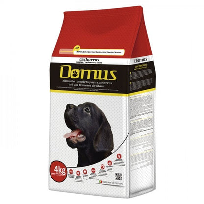 https://cdn.shopify.com/s/files/1/0916/7627/9129/files/domus-cao-puppy.jpg?v=1774461363