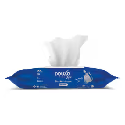 Douxo Spa Toalhitas - Wipes for dogs and cats
