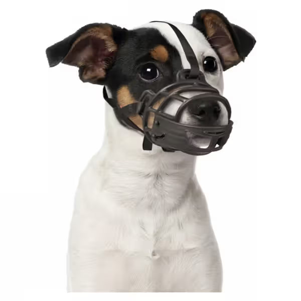 Duvo Plus Açaime para Cão - for dogs