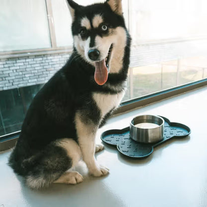 Duvo Plus - Base para comedouros para cão