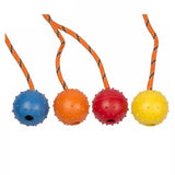Duvo Plus - Rubber dog toy for dental hygiene