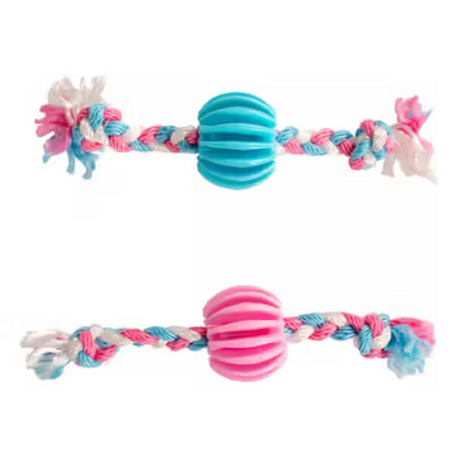 Duvo Plus - Puppy toy