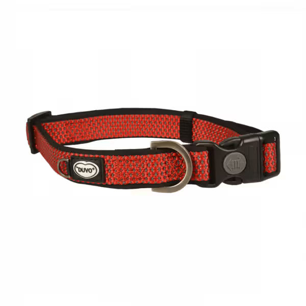 Duvo Plus Explor East - Coleira para cães