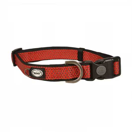 Duvo Plus Explor East - Coleira para cães