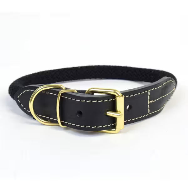 Duvo Plus Explor Forest Preto - Dog collar