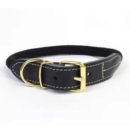 Duvo Plus Explor Forest Preto - Dog collar