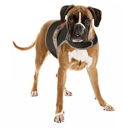 Duvo Plus - Colete de segurança refletor para cães
