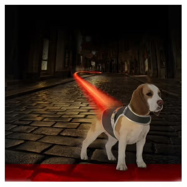 Duvo Plus - Colete de segurança refletor para cães