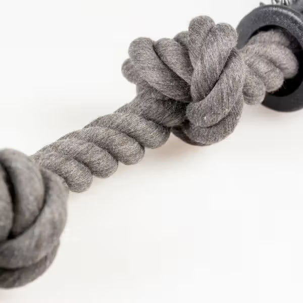 Duvo Plus - Dog toy