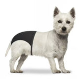 Duvo Plus - Cuecas para cães