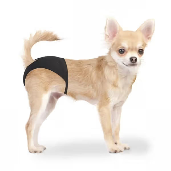 Duvo Plus - Cuecas para cães