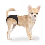 Duvo Plus - Cuecas para cães