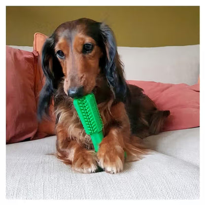 Duvo Plus Chew'n Play - Dog toy