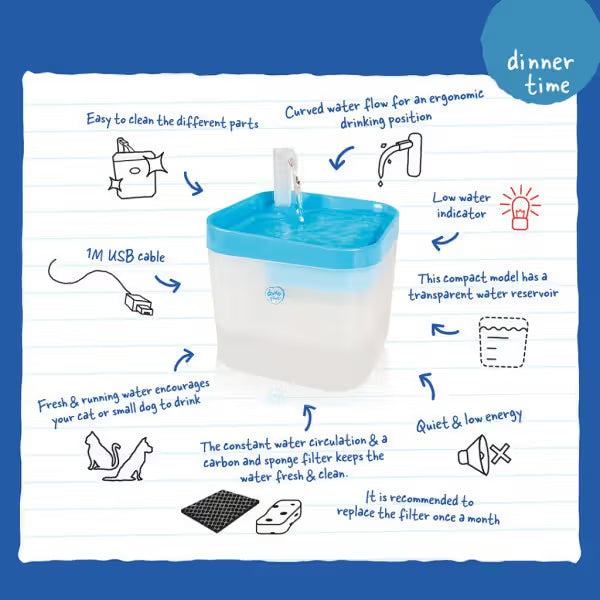 Duvo Plus - Fuente de agua para perros y gatos con filtro de carbono