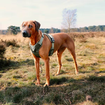 Duvo Plus Peitoral Explor Ultimate Fit Anti-Puxão - Reflective and anti-pull harness for dogs