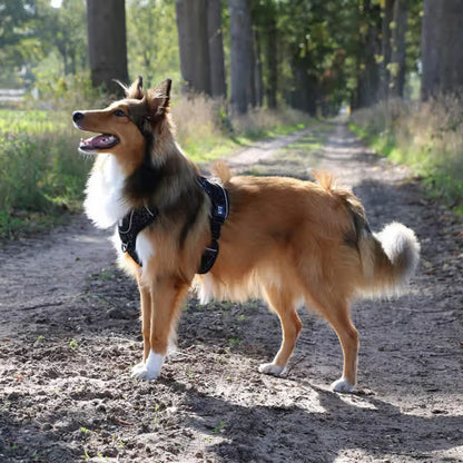 Duvo Plus Peitoral Explor Ultimate Fit Anti-Puxão - Reflective and anti-pull harness for dogs