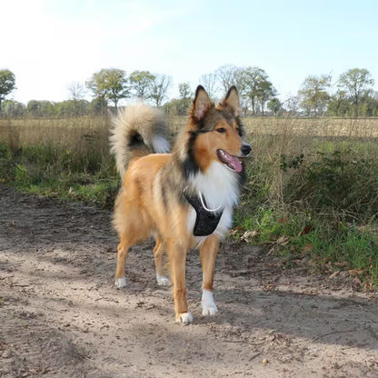 Duvo Plus Peitoral Explor Ultimate Fit Anti-Puxão - Reflective and anti-pull harness for dogs