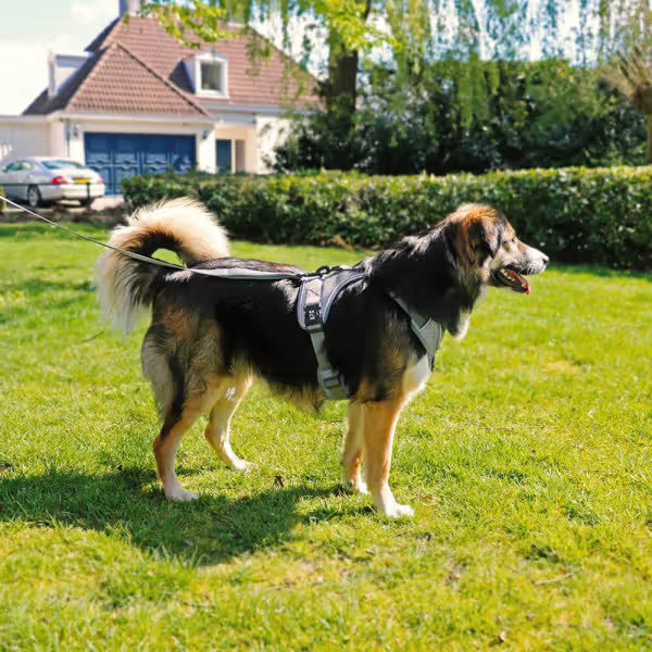 Duvo Plus Peitoral Explor Ultimate Fit Anti-Puxão - Reflective and anti-pull harness for dogs