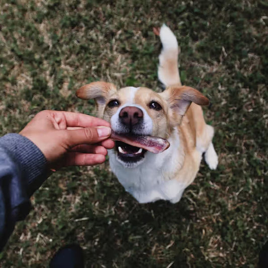 Duvo Plus Farmz - Snack para perro con cerdo ahumado