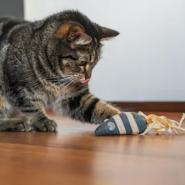Duvo Plus - Juguete para gato